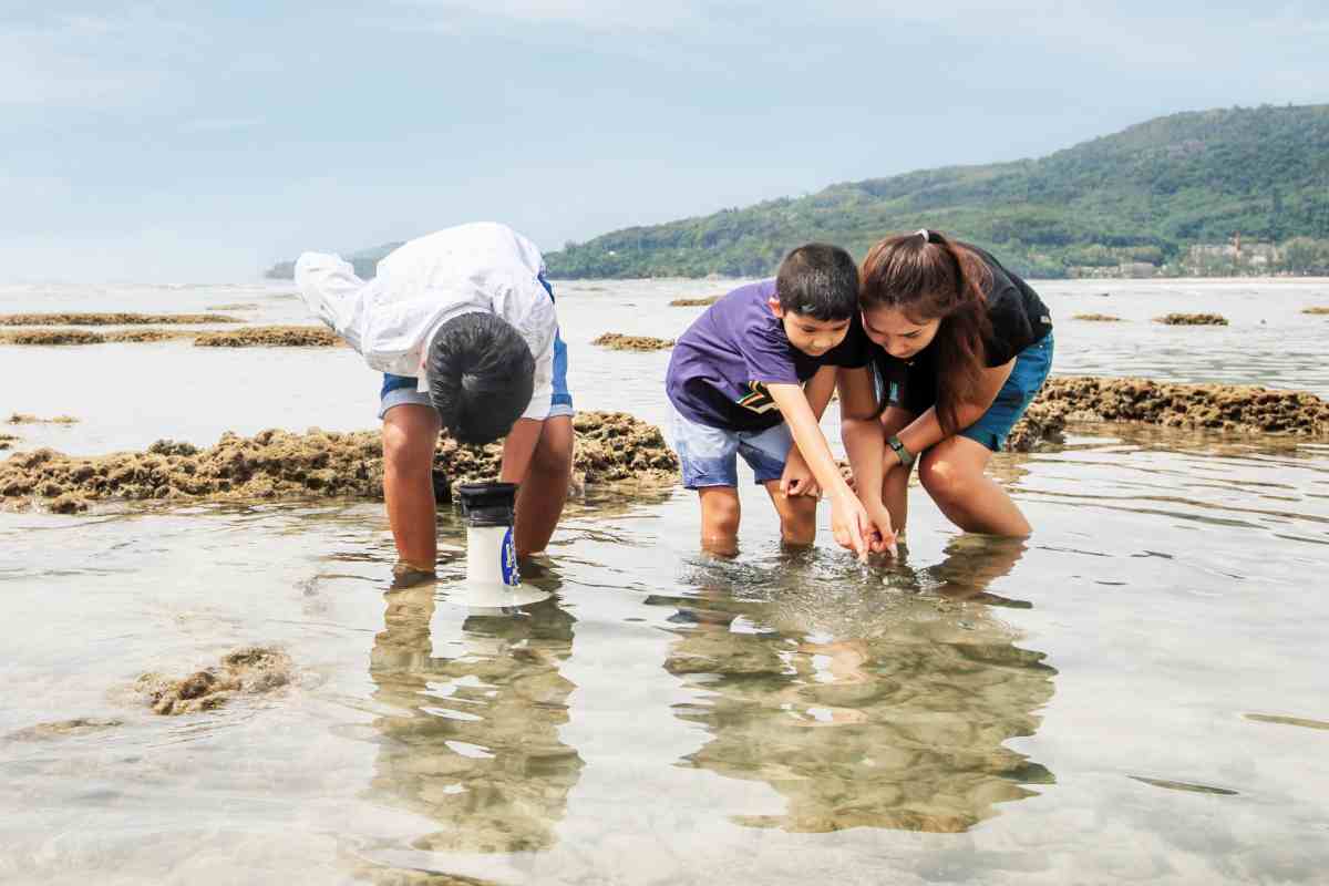 Best Weather & Time To Visit Phuket Thailand 